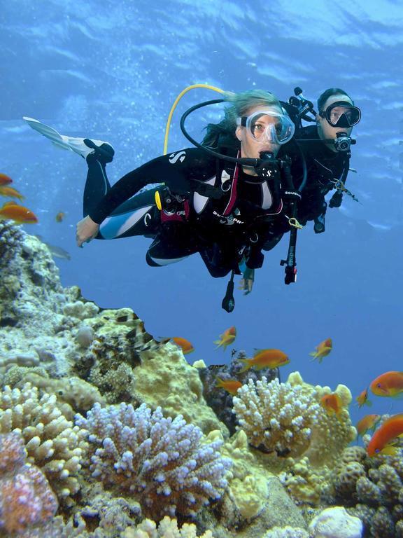 Курс дайвінгу відповідно до стандартів асоціації PADI